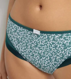 Culotte femme microfibre et tulle vert hydro Dim Generous