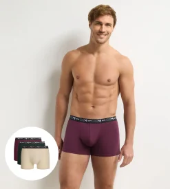 Lot de 3 boxers homme figue, vert foncé, écru Coton Stretch