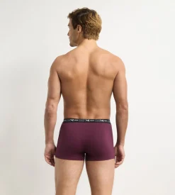 Lot de 3 boxers homme figue, vert foncé, écru Coton Stretch