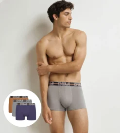 Lot de 3 boxers homme Violet Gris Terre Powerful